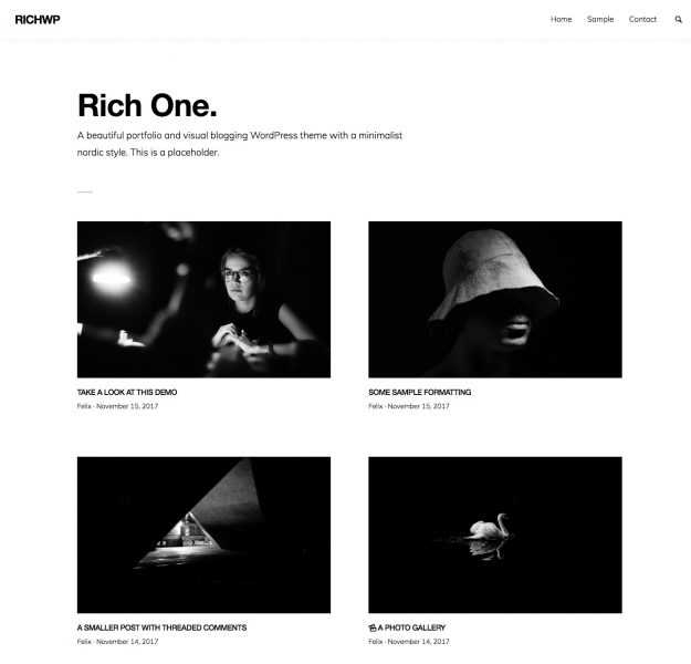 RichOne WordPress Portfolio Theme