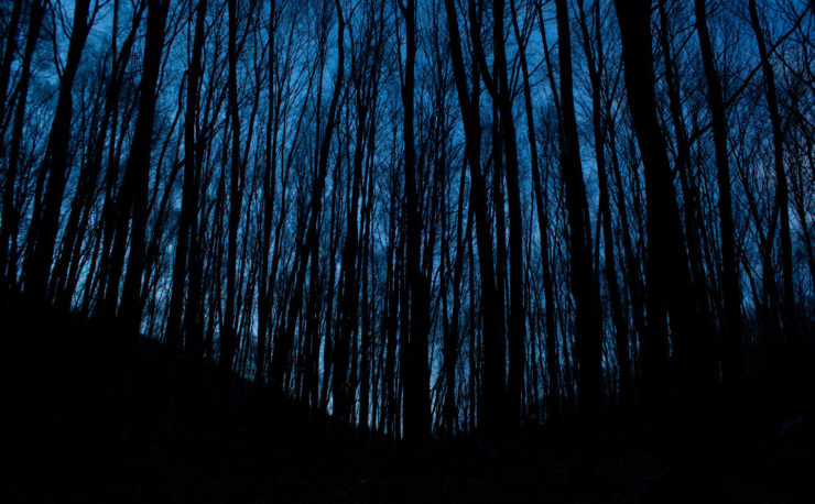 Feature Creep in WordPress Themes